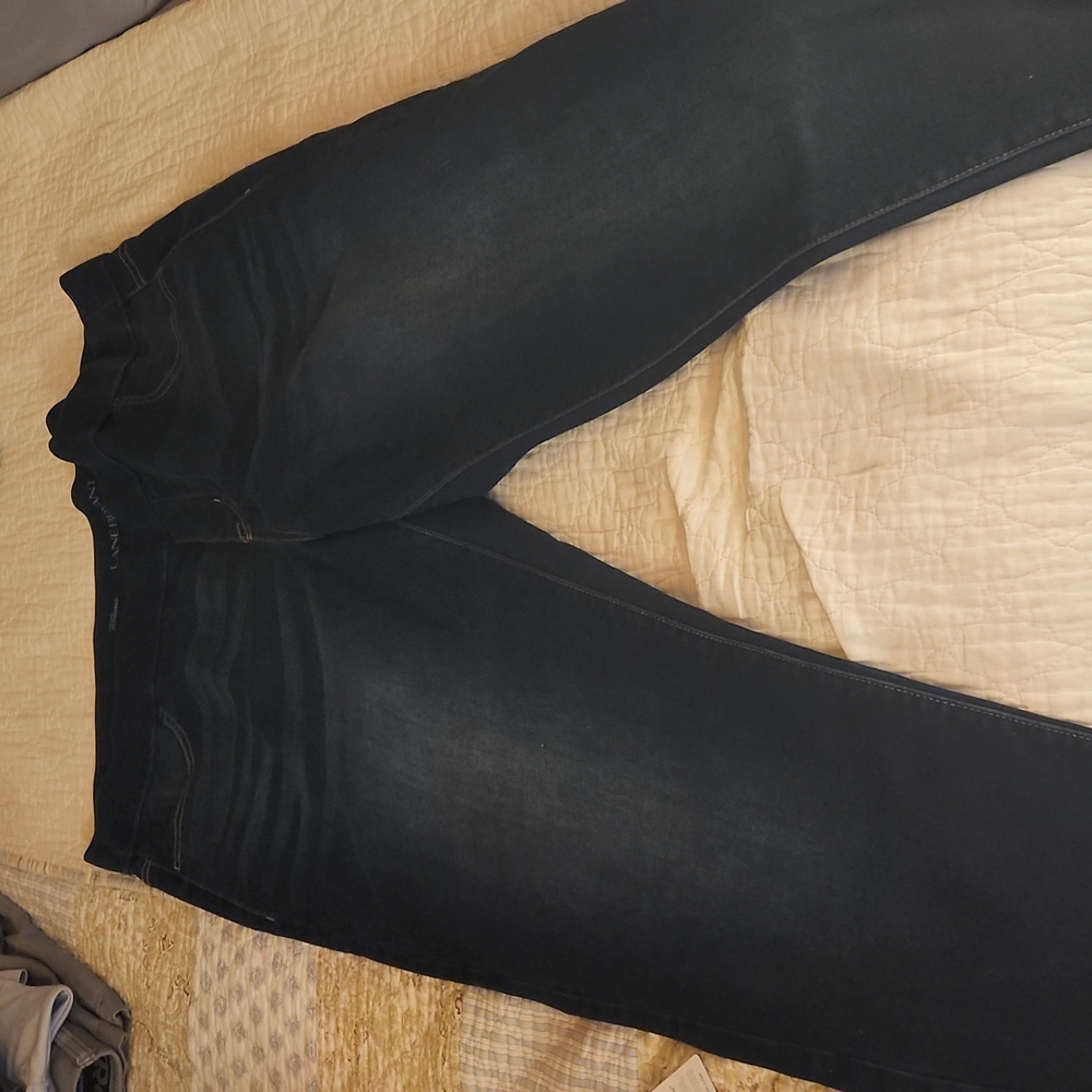 Lane Bryant Jegging Size 22